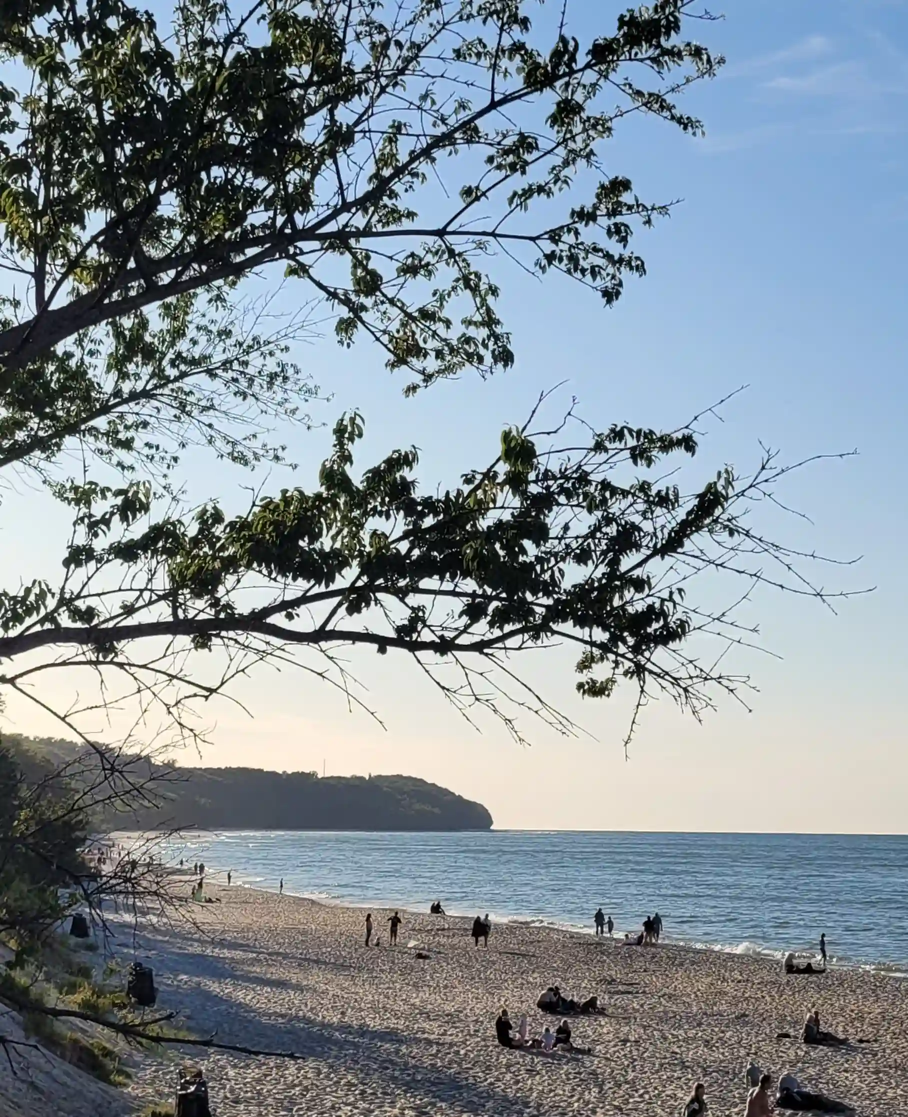 Plaża z widokiem na klif